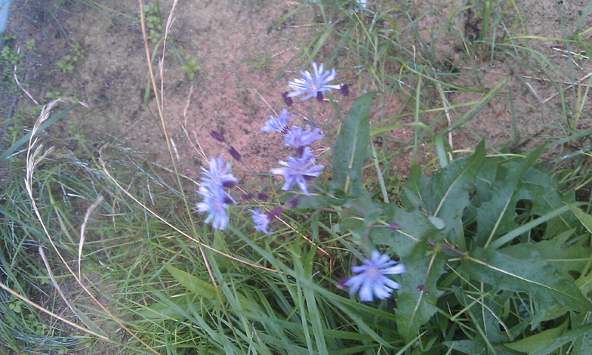 Фото из личного архива