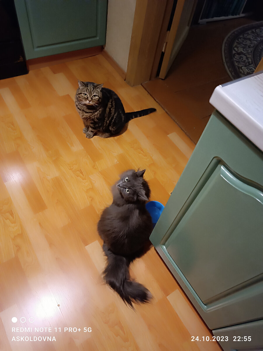 #Вечноголодные😁