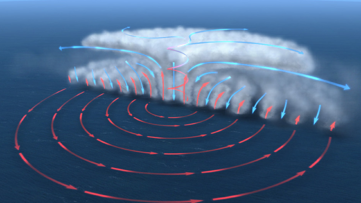 Циклон Вихрь. Завихрения воздуха. Тропический циклон. Атмосферные вихри.