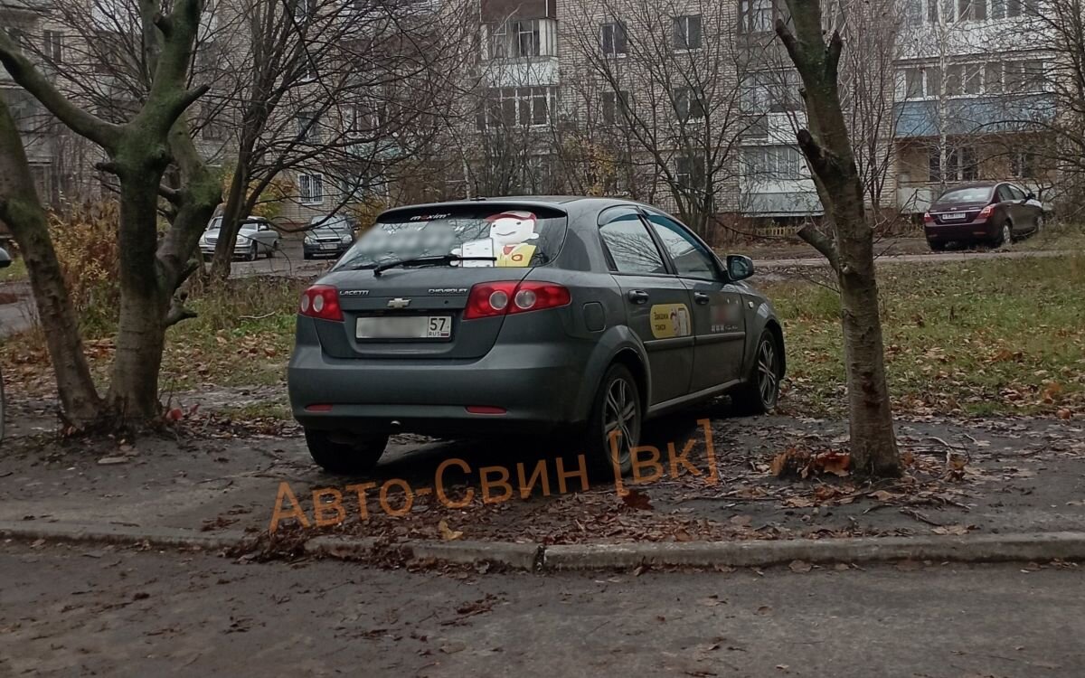 Фотофакт: жители Орла массово паркуются на газонах | «Орловские новости» |  Дзен