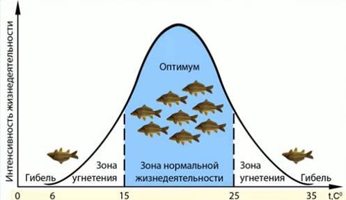 37. Основные типы связей организмов в биоценозе: трофические, топические, форические, фабрические.