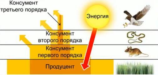 Страница 144