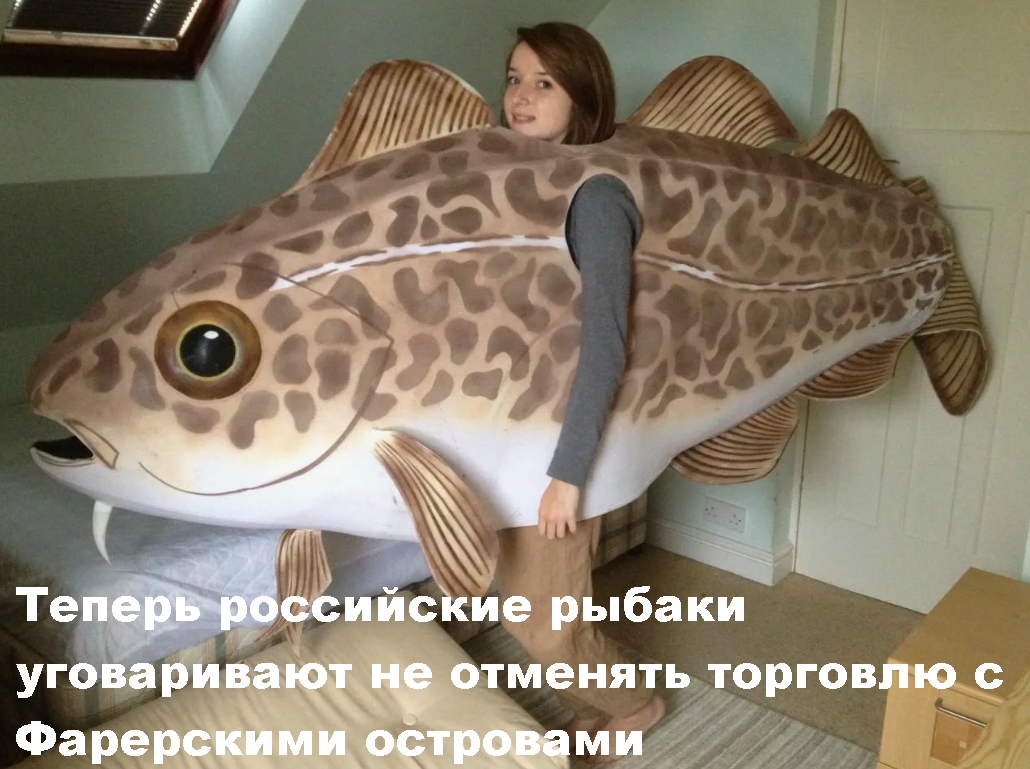 Российские рыбаки требуют от РФ не блокировать поставки рыбы из Дании ...