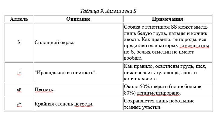 Поговорим о немецких догах