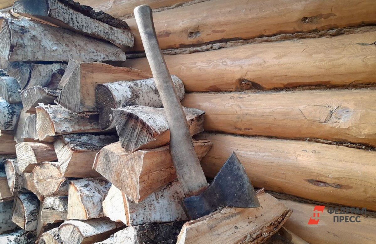 Для заготовки дров необходимо использовать только мертвую древесину.  Фото: Фото: ФедералПресс / Дарья Сеймовская