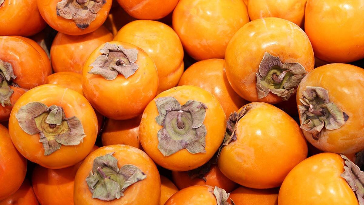    Фото: shutterstock