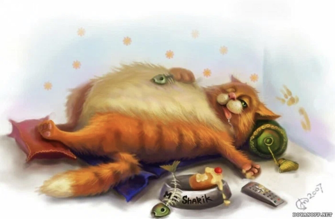 Вот так это выглядело 😂.