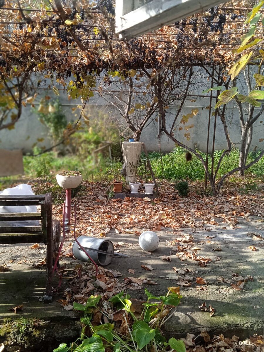 Ибо когда за окном такое, грех дома сидеть.