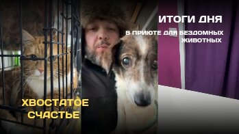 ИТОГИ ДНЯ : Котейки // Топ Топыч // Получение и распаковка посылки