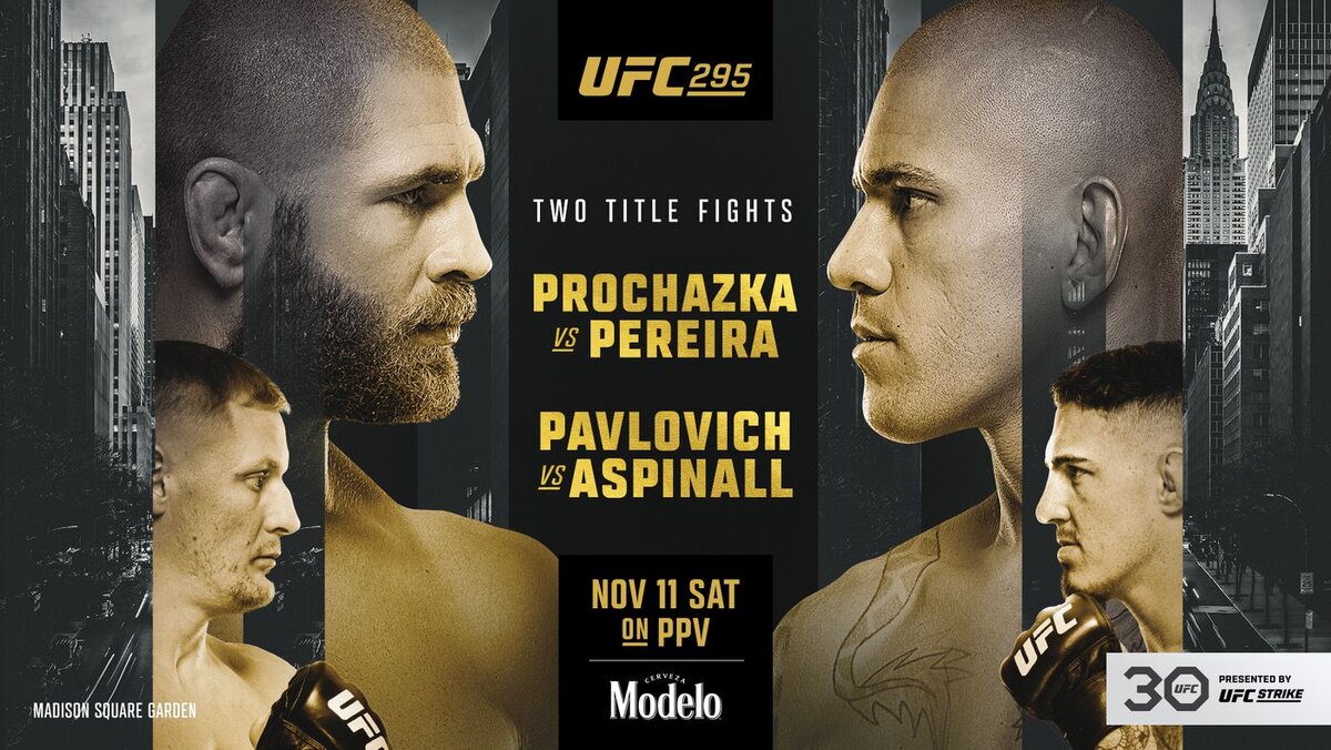 UFC 295: Прохазка vs Перейра