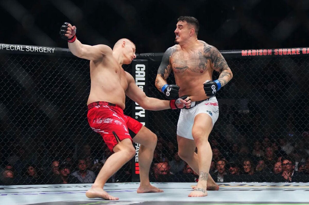 Шон брэди. Полный бой ufc 304. Tom aspinall vs curtis blaydes. Полный бой ufc 304. Жозе альдо.
