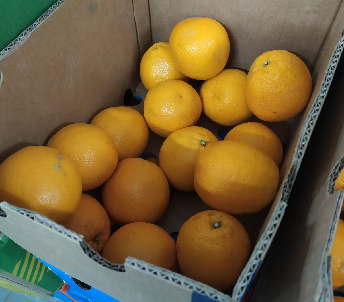 Фото автора канала Топай и лопай✔️