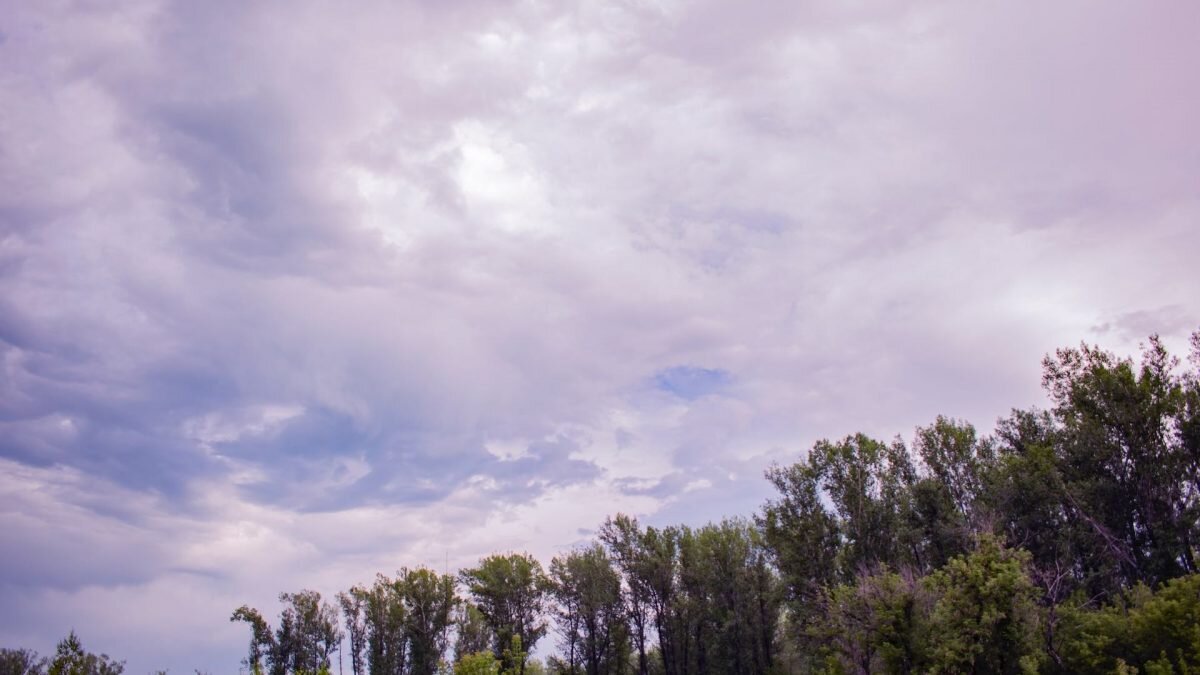    Фото: UNsplash Август Макаров