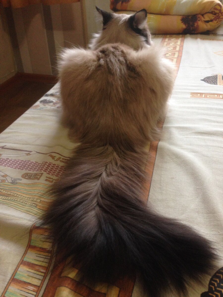 Милый со всех сторон. Фото автора