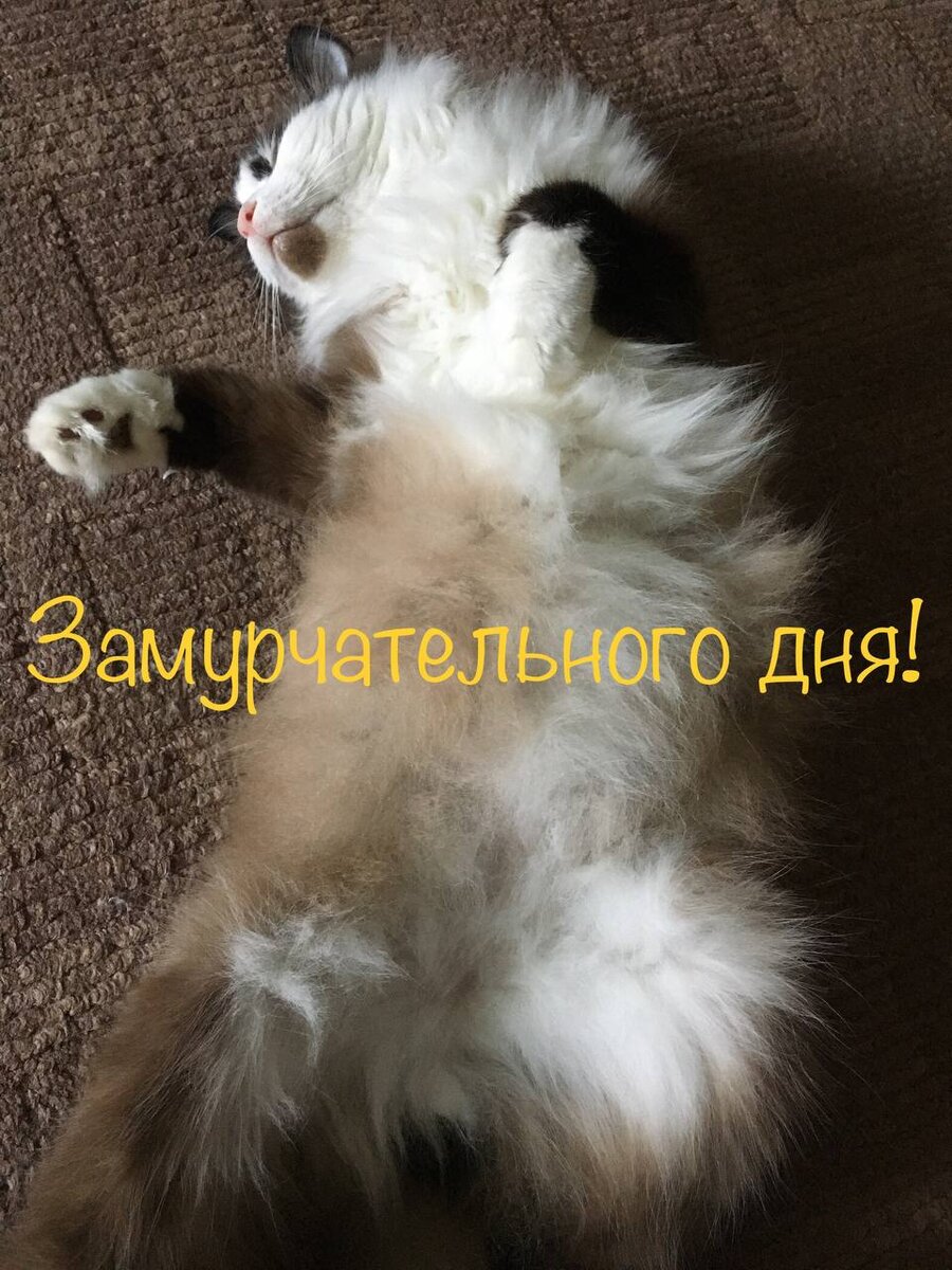 Фото и дизайн автора