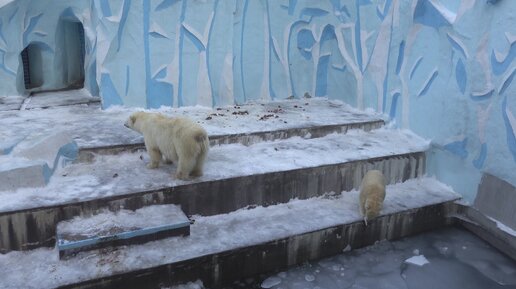 Зоопарк приглашает на конкурс кормушек «Помоги животным зимой»