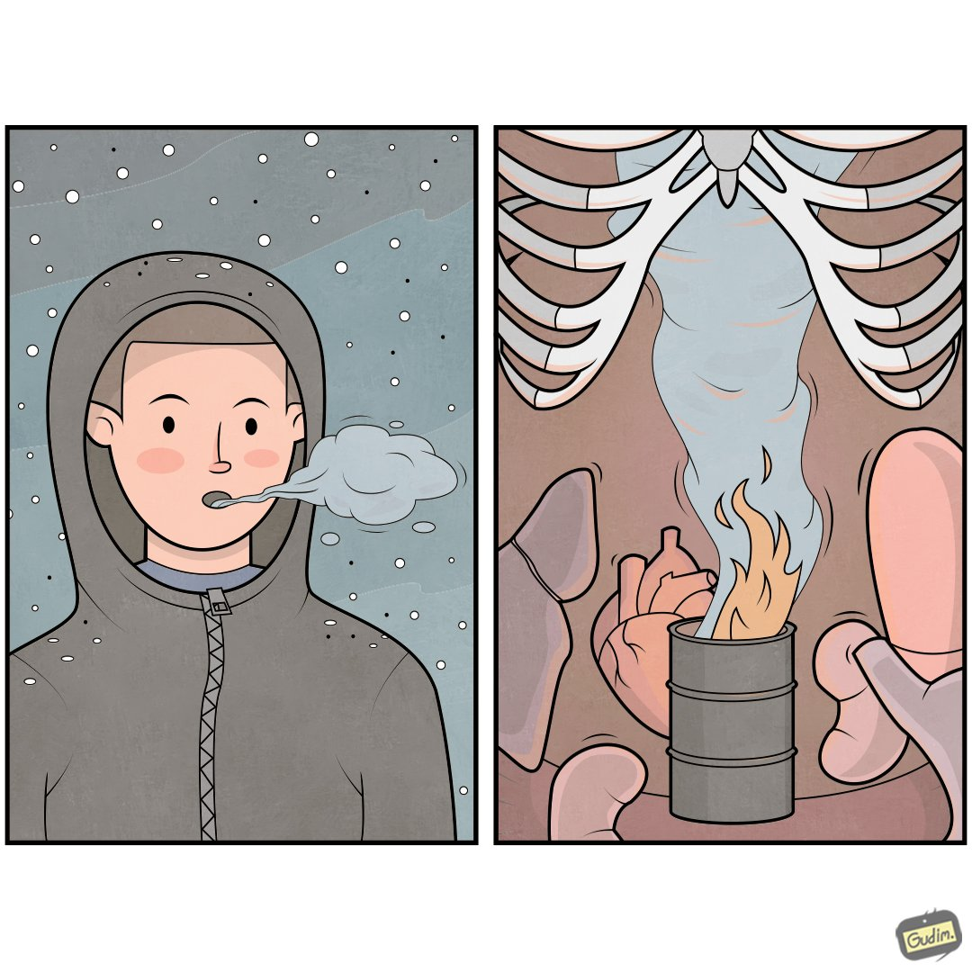 Фотография из открытых источников.