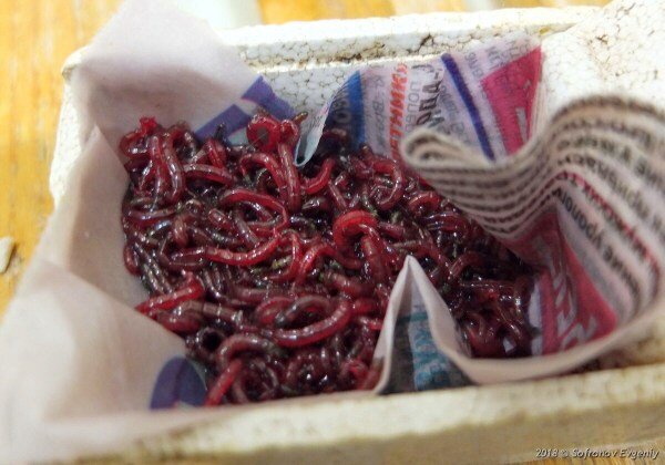 Хранения в газете