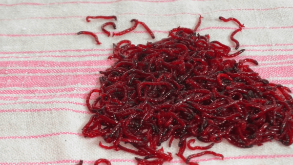 Хранение в хлопчатобумажной ткани