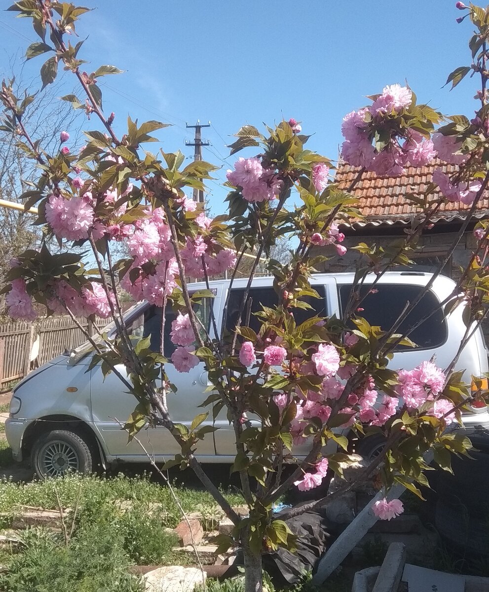 Продолжаю рассказывать