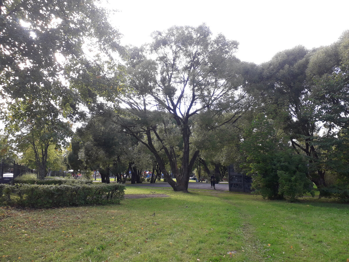 16 сентября 2023 15:36