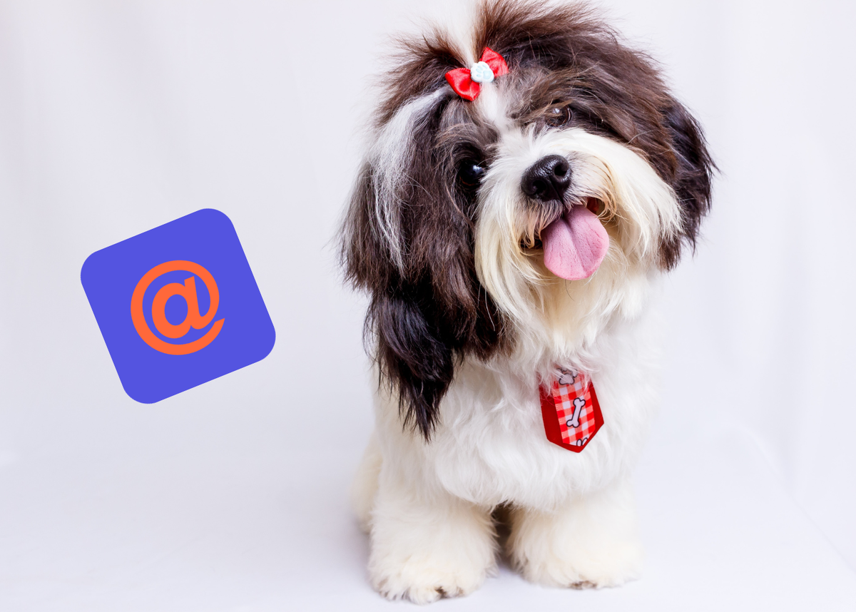 Автор фотографии: Edson Torres