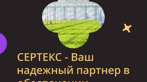 Sertex.org | СЕРТЕКС - Ваш надежный партнер в обеспечении безопасности ...