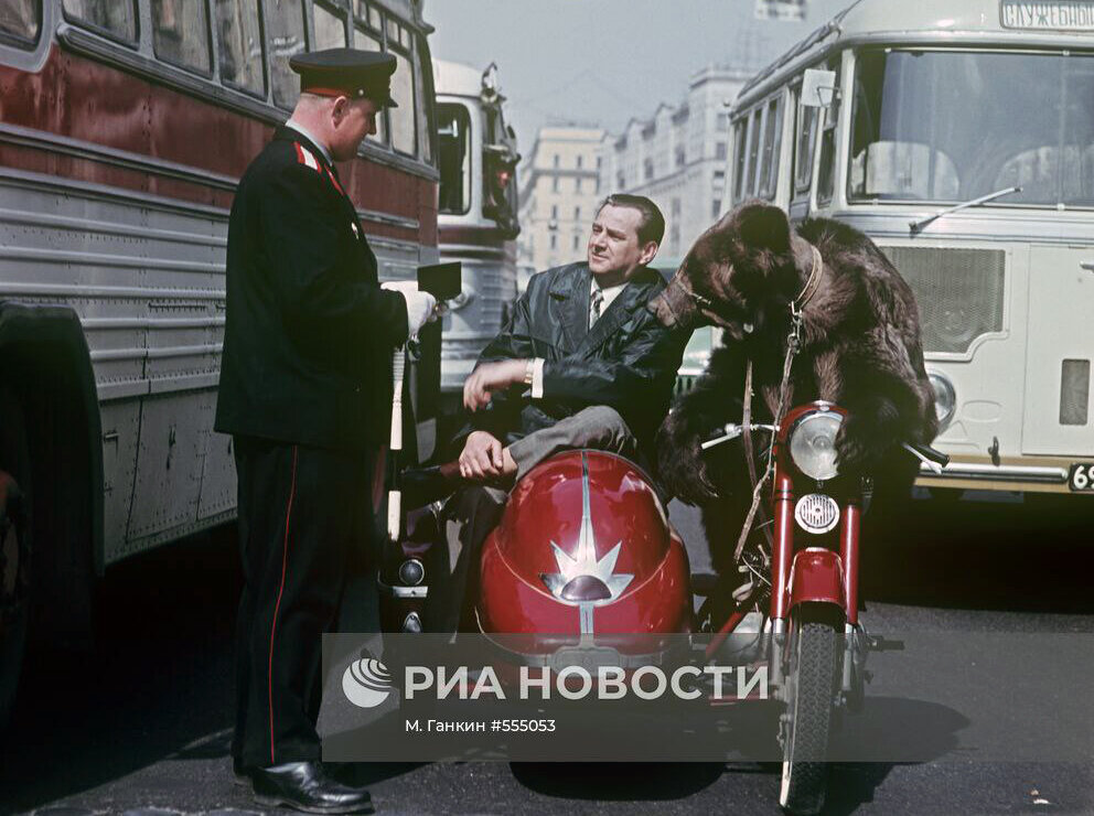 Регулировщик движения, дрессировщик Валентин Филатов и медведица-мотоциклистка Девочка. 1965 год, Москва, улица Горького. Автор фотографии – Марк Ганкин, источник – https://ria.ru