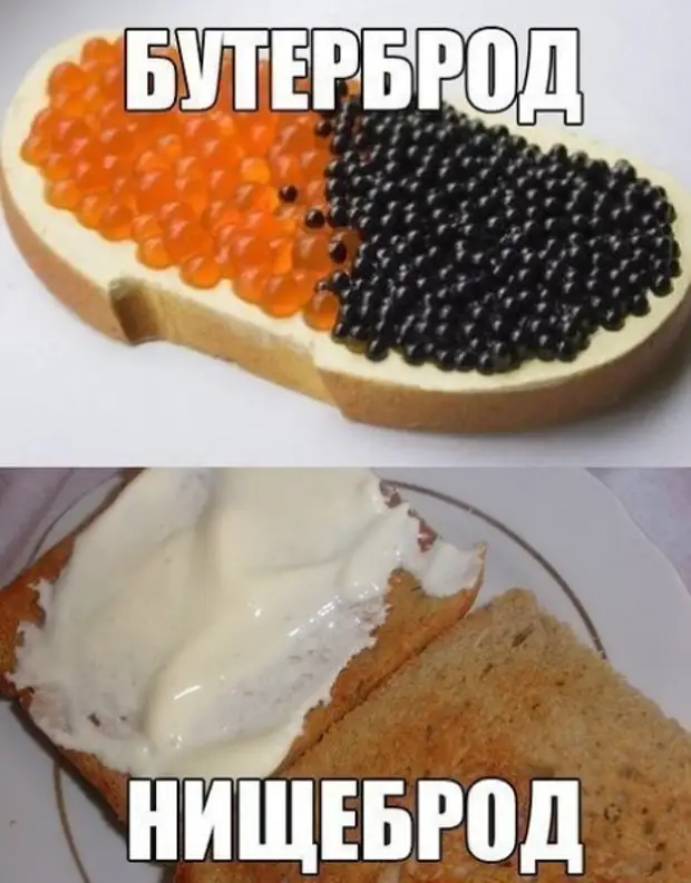 Выбирай нет. Бутерброд из смешариков. Бутерброд нищеброд. Человек бутерброд. Большой бутерброд по итальянски как называется.