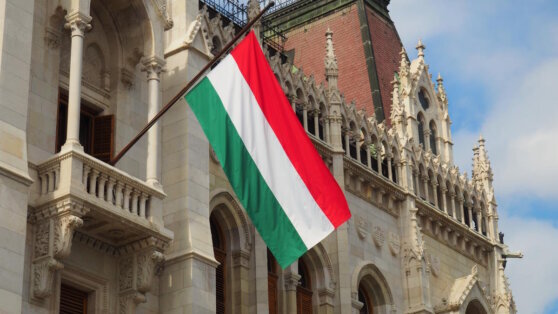    Венгрия предложила РФ и Украине переговоры с созданием системы безопасности Алина Городниченко