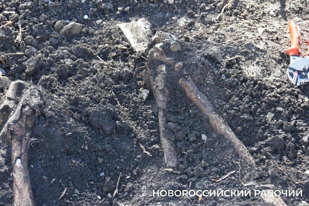 Захоронения каменном ящике новороссийск. Подвалы новороссийск. Бункер новороссийск. В новороссийске нашли в урне змею. Новороссийск поисковики.