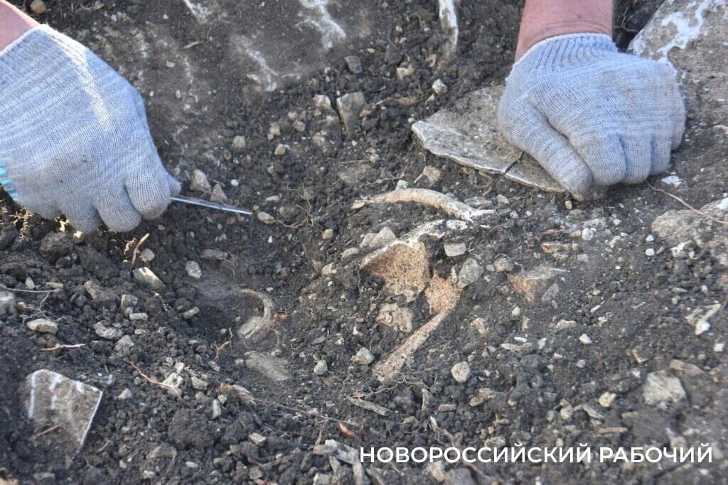 Станица раевская развалины. В новороссийске нашли. Новороссийск поисковики. В новороссийске нашли ребенка. Водолазы новороссийск.