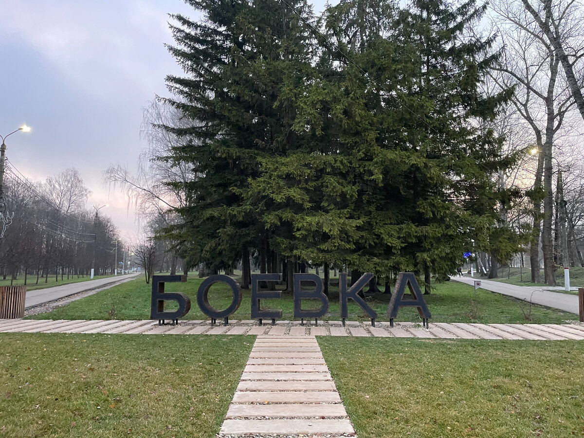 Фото: Юлия Шутихина. Точка сбора 