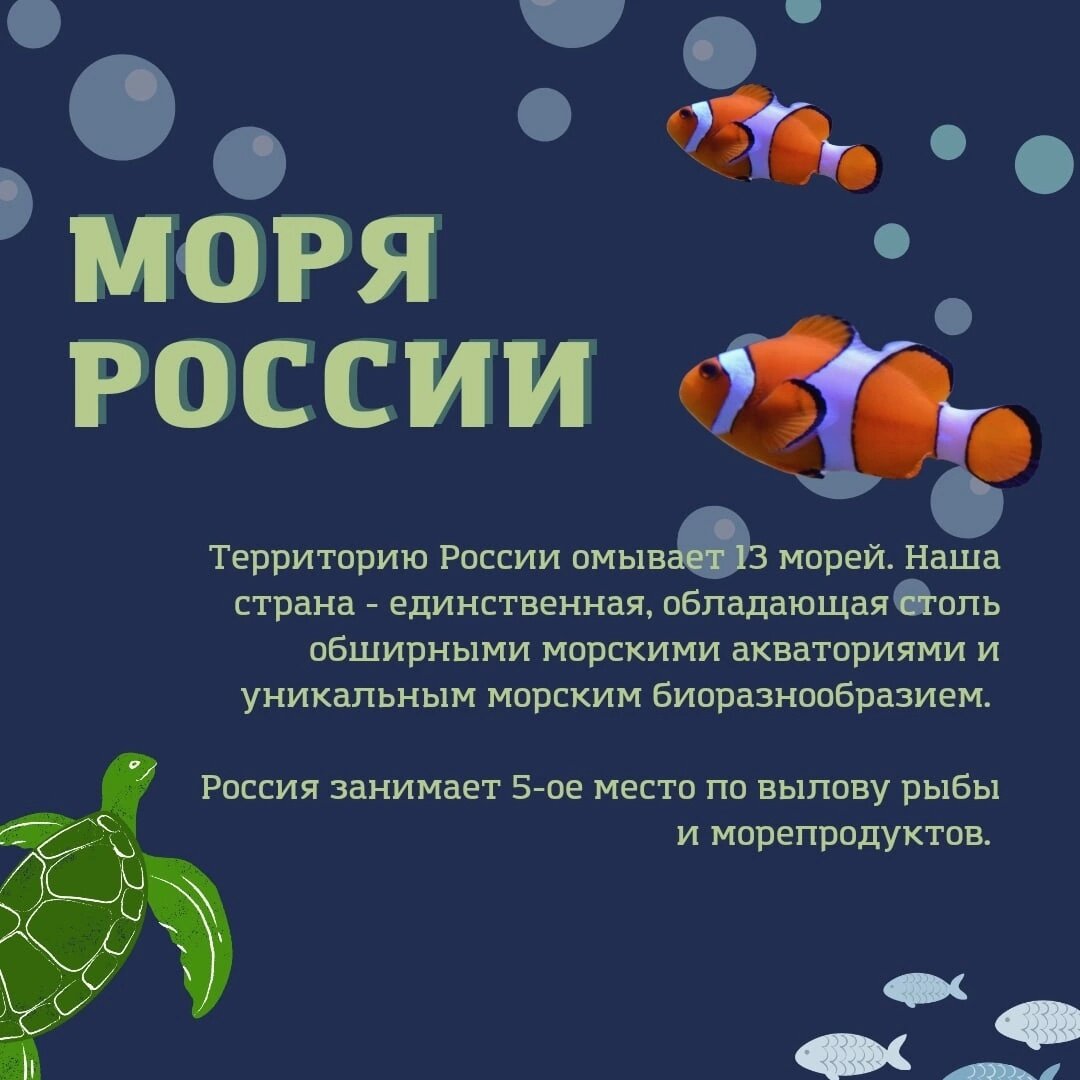 ЗАГРЯЗНЕНИЕ ОКЕАНА И МОРЕЙ. Причины и последствия экологической катастрофы.  | Учеба и комфорт | Ви | Дзен