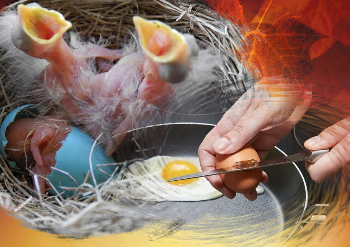 На востоке есть мудрая пословица. Смысл её — когда яйцо разбивается снаружи, то жизнь в нем заканчивается. А яйцо, разбитое изнутри, означает начало новой жизни. 