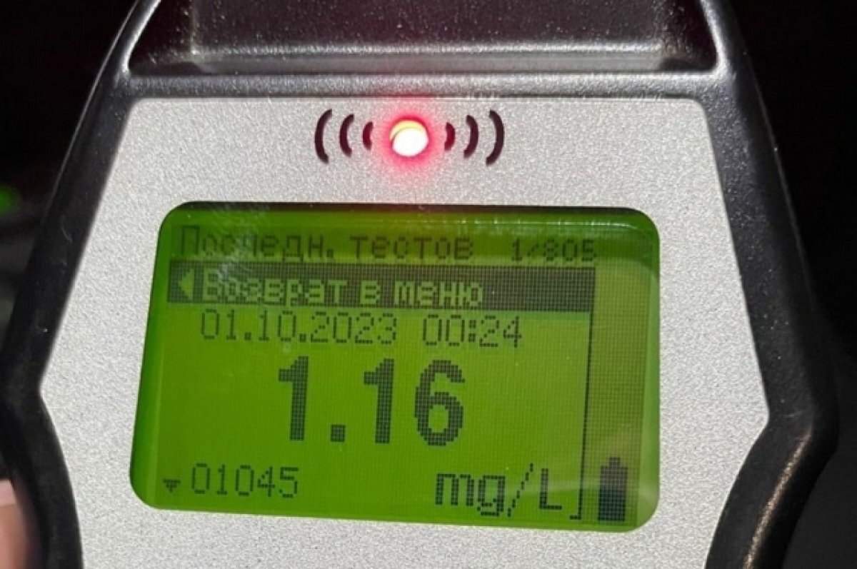    Массовые проверки водителей пройдут в Петрозаводске 12 и 13 ноября