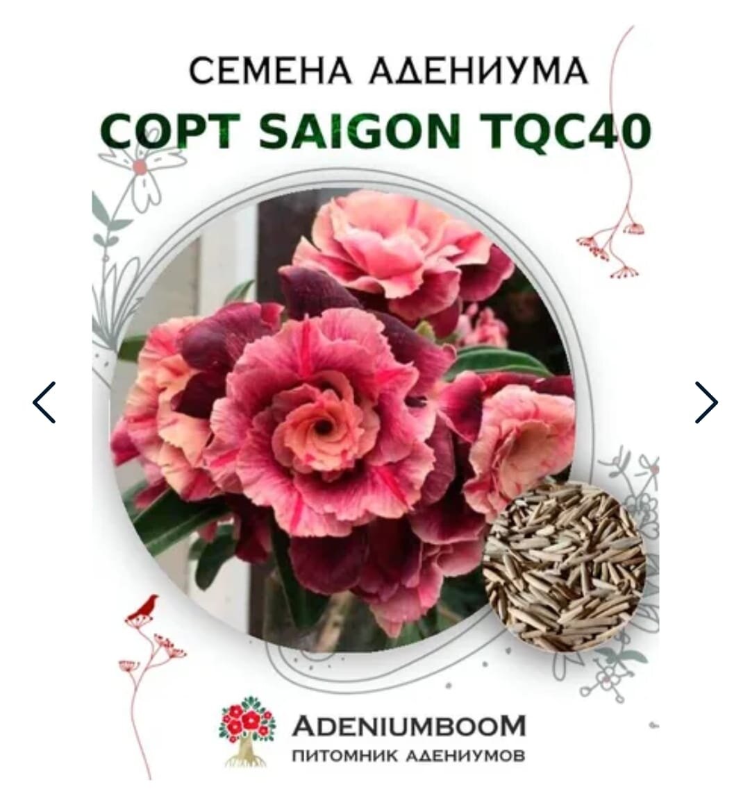 Такие брала семена.