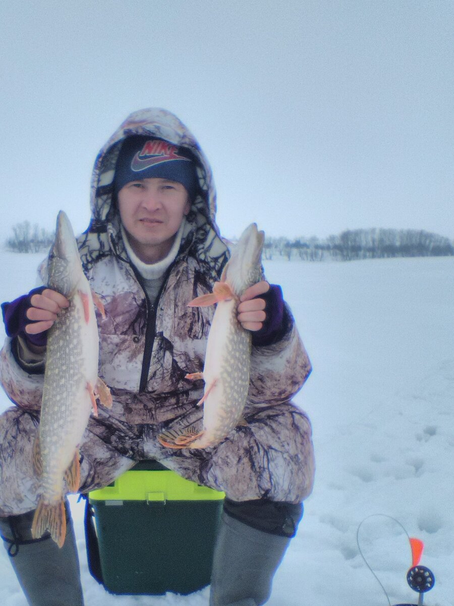 Рыбалка на горбушу в реках Кольского полуострова - sapsanmsk.ru