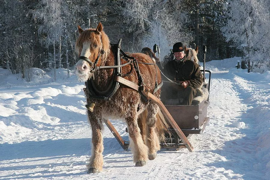 catalog-photo.ru