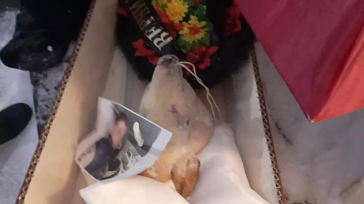     Житель города Первоуральск в Свердловской области передал полиции около 640 доз мефедрона и нарколабораторию, которые он обнаружил у своего квартиранта. В ответ на это наркоторговцы стали слать ему угрозы, объявили награду за его голову, но из-за резонанса ситуация обрела неожиданный оборот.