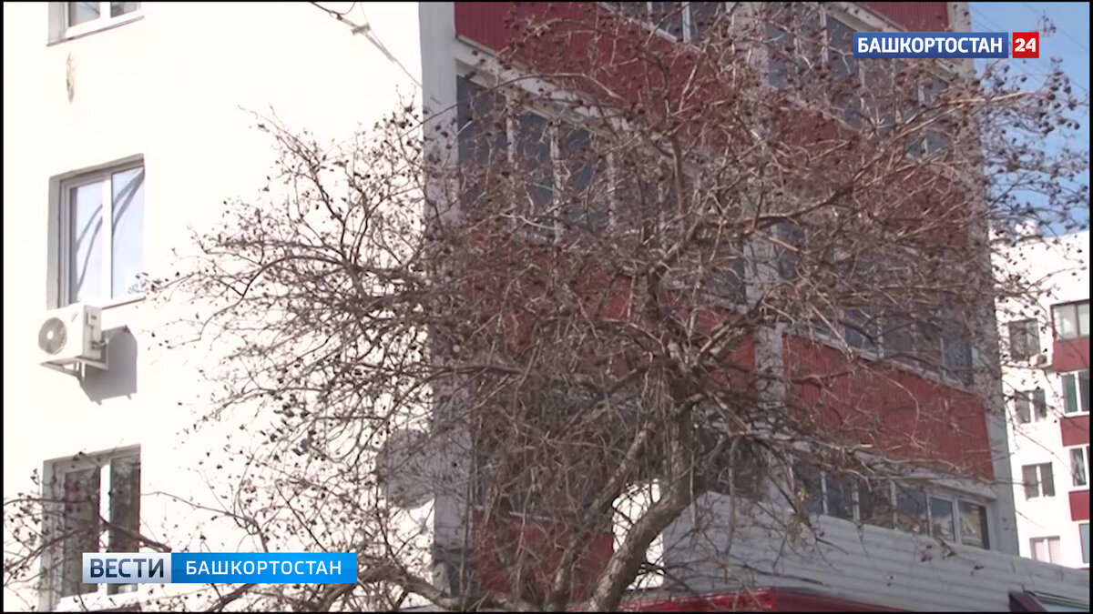    В Уфе ветер усилится до 17 метров в секунду