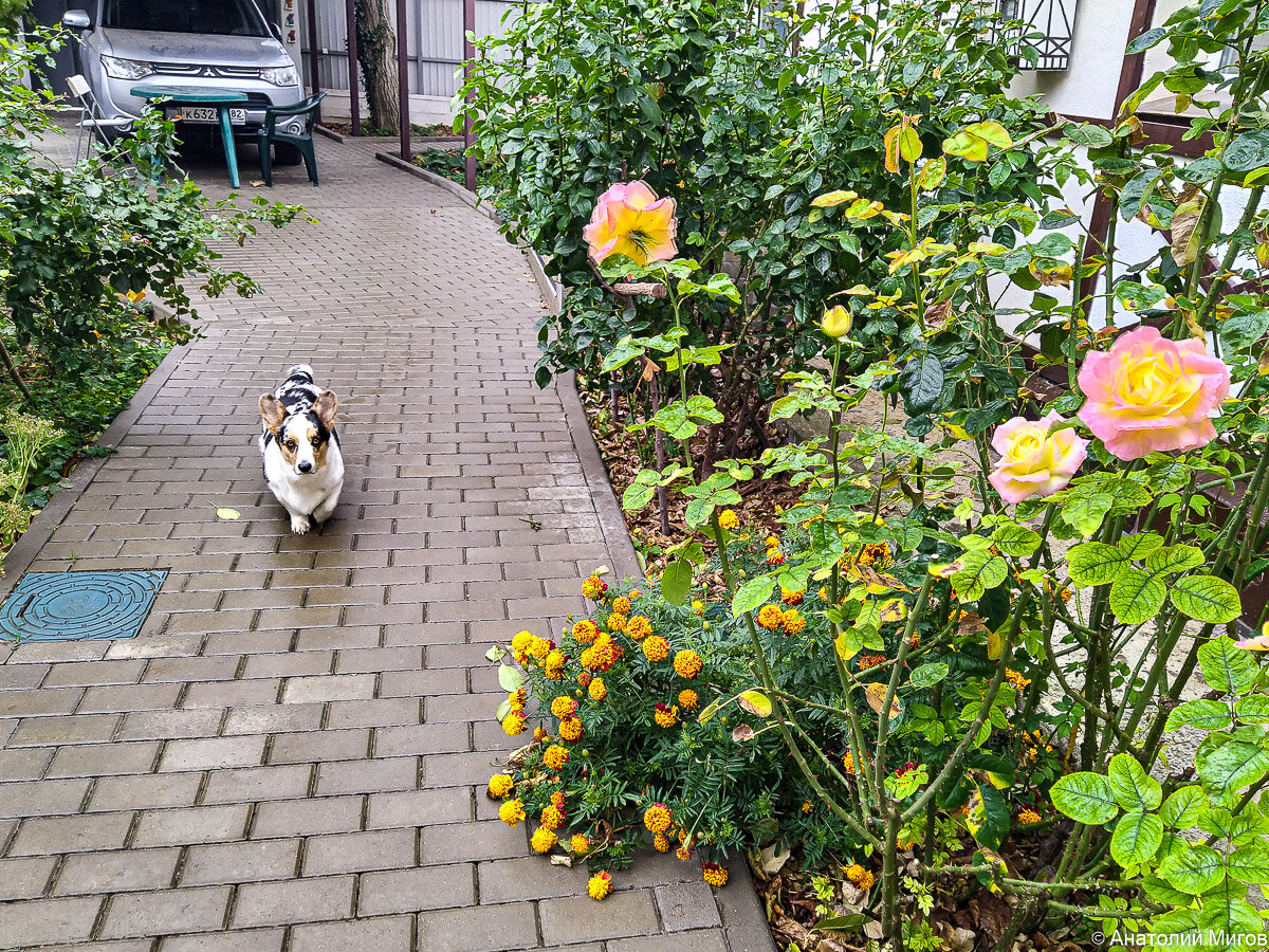 Эх, если бы Тильда знала, какой праздник живота мог для неё состояться, точно бы расстроилась. 