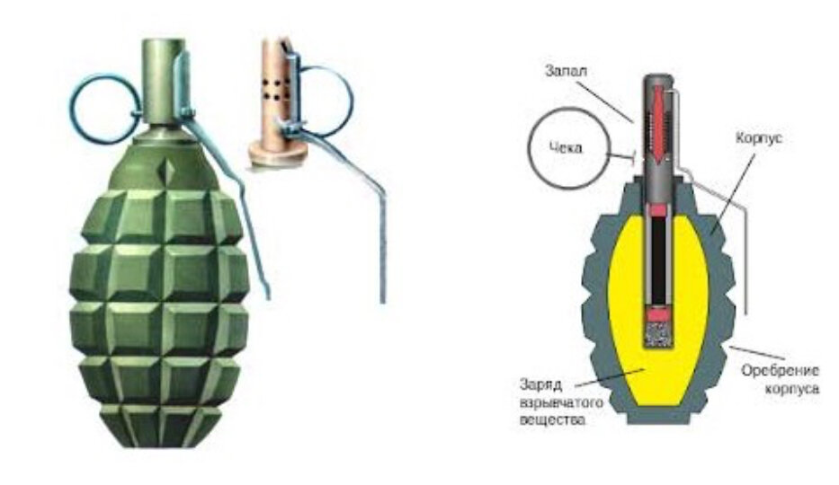 Структура гранаты ф1. Разрез гранаты ф1. Граната f-1 схема. Составные части гранаты ф1.