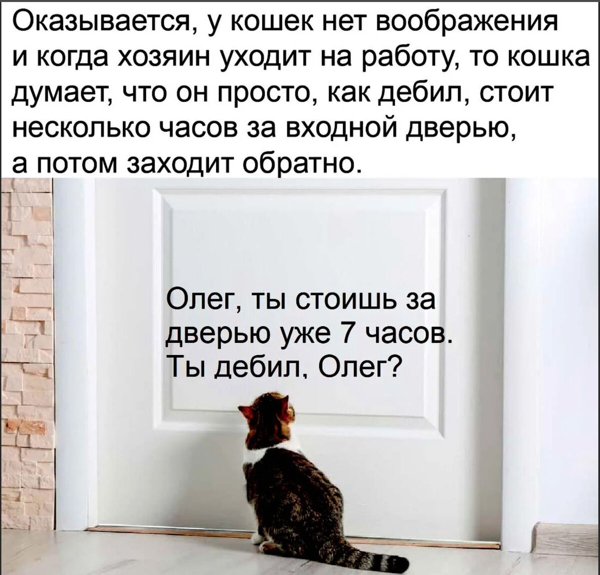 источник Яндекс-картинки