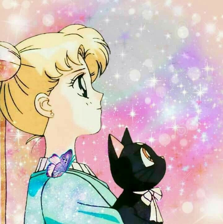 Мун кошка. Сейлормун кошка. Сейлормун Луна. Усаги и Луна кошка. Sailor Moon кошка.