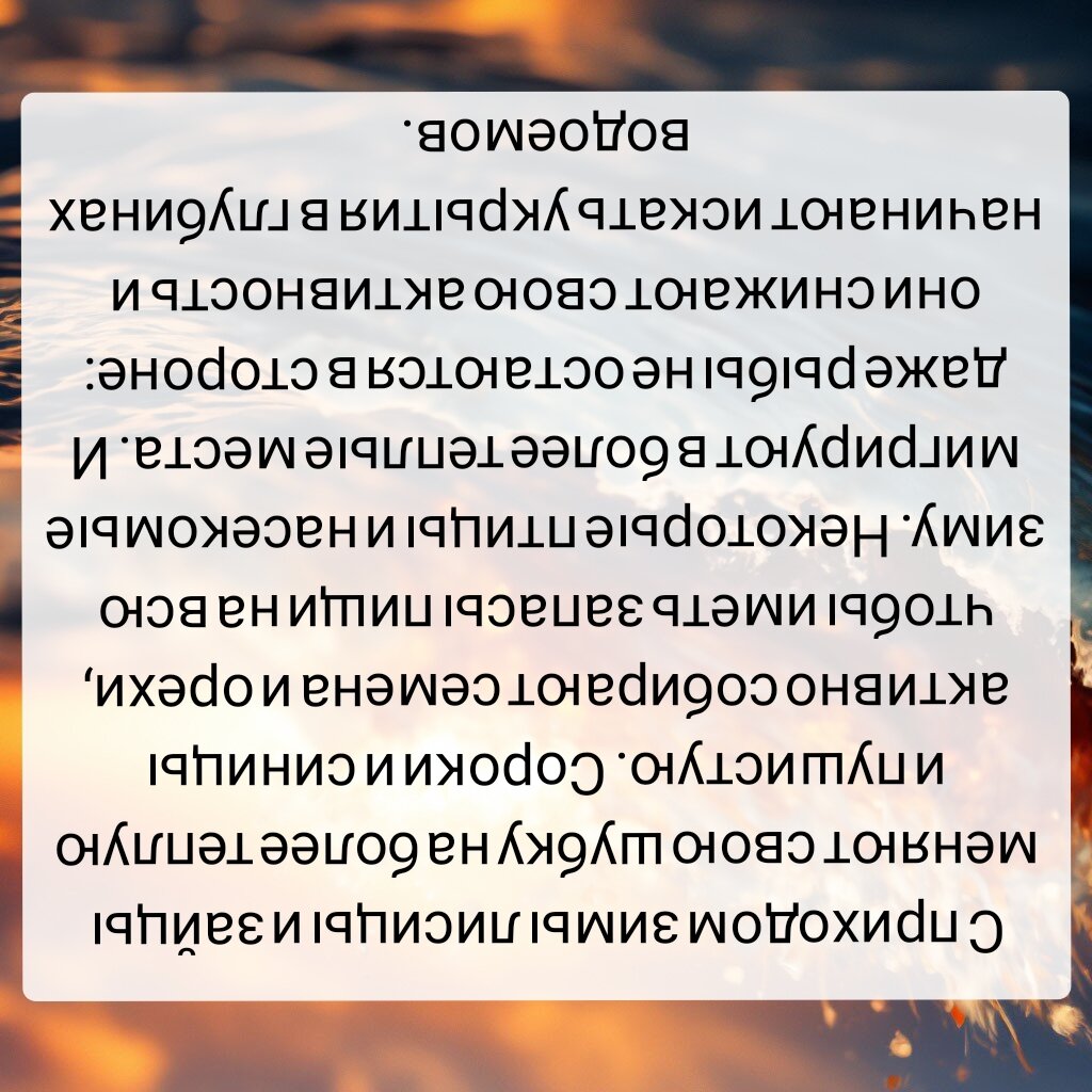 Фитнес для извилин за 4 минуты: несложные головоломки, которые помогут  улучшить внимательность и омолодить мозг | Заметки мамы-училки | Дзен