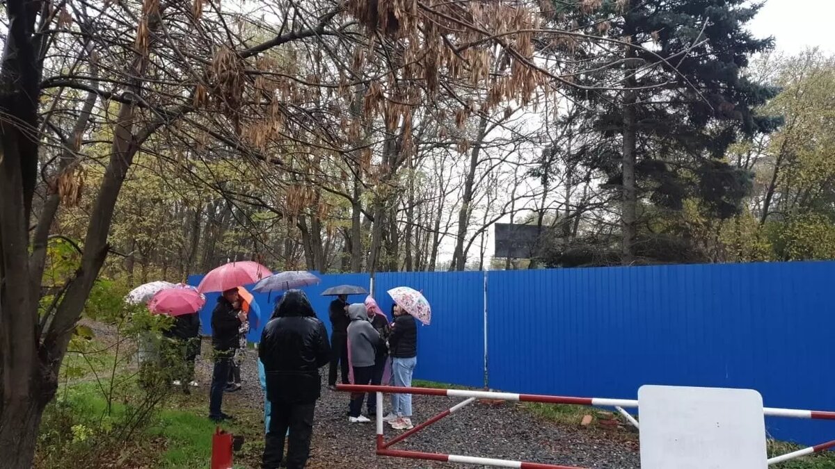     В Ростове местные жители защищают от незаконной вырубки рощу на улице Зеленой, неподалеку от старого аэропорта, рассказала депутат Наталья Оськина.