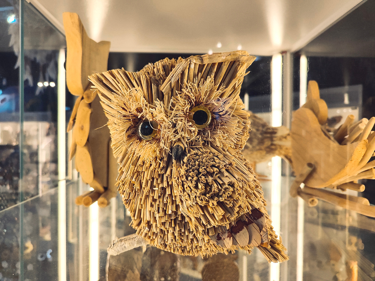 Все фото автора. 