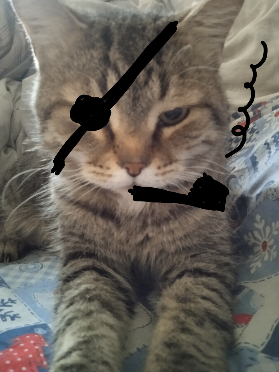 КотоФей пожертвовал своим добрым именем ради педагогического эксперимента)))