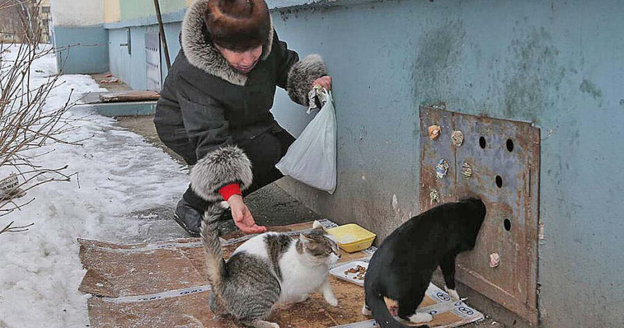 Фото с портала Новости Рыбинска https://gazeta-rybinsk.ru